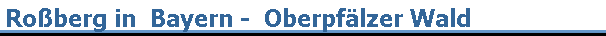 Roberg in  Bayern -  Oberpflzer Wald